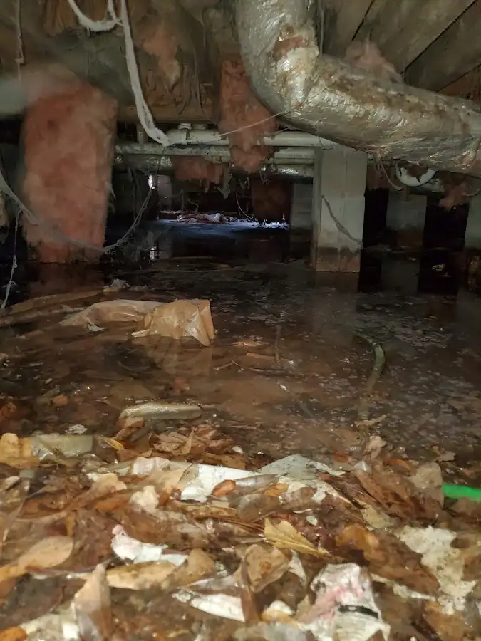 Crawl space flood assessment for Leak Detection & Repair in Schertz